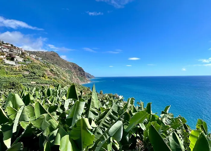 Eco Faja Arco da Calheta (Madeira)